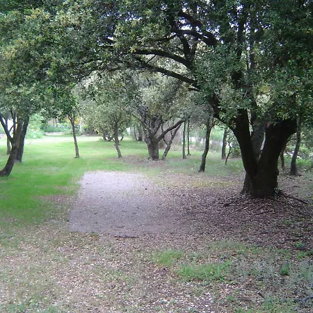 Soleil Lavande * Salles-sous-Bois